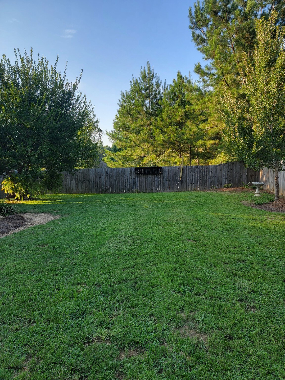 Large fenced backyard at Crossland BNB